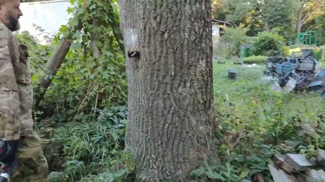 ШЕРШНИ | ОСЫ на пасеке. Слёт пчёл. Методы борьбы. Ловушки. смотреть онлайн