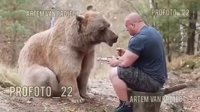 Мужик кормит медведя с ложки смотреть онлайн