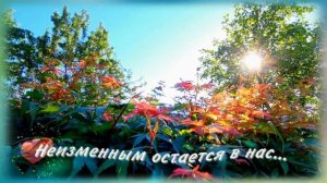 Не встречайтесь с первою любовью... До слез... до глубины души...