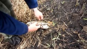 Щука на Карповке. Серия 1.