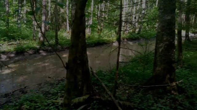 Заброшенная и действующяя воинская часть г Талдом смотреть онлайн