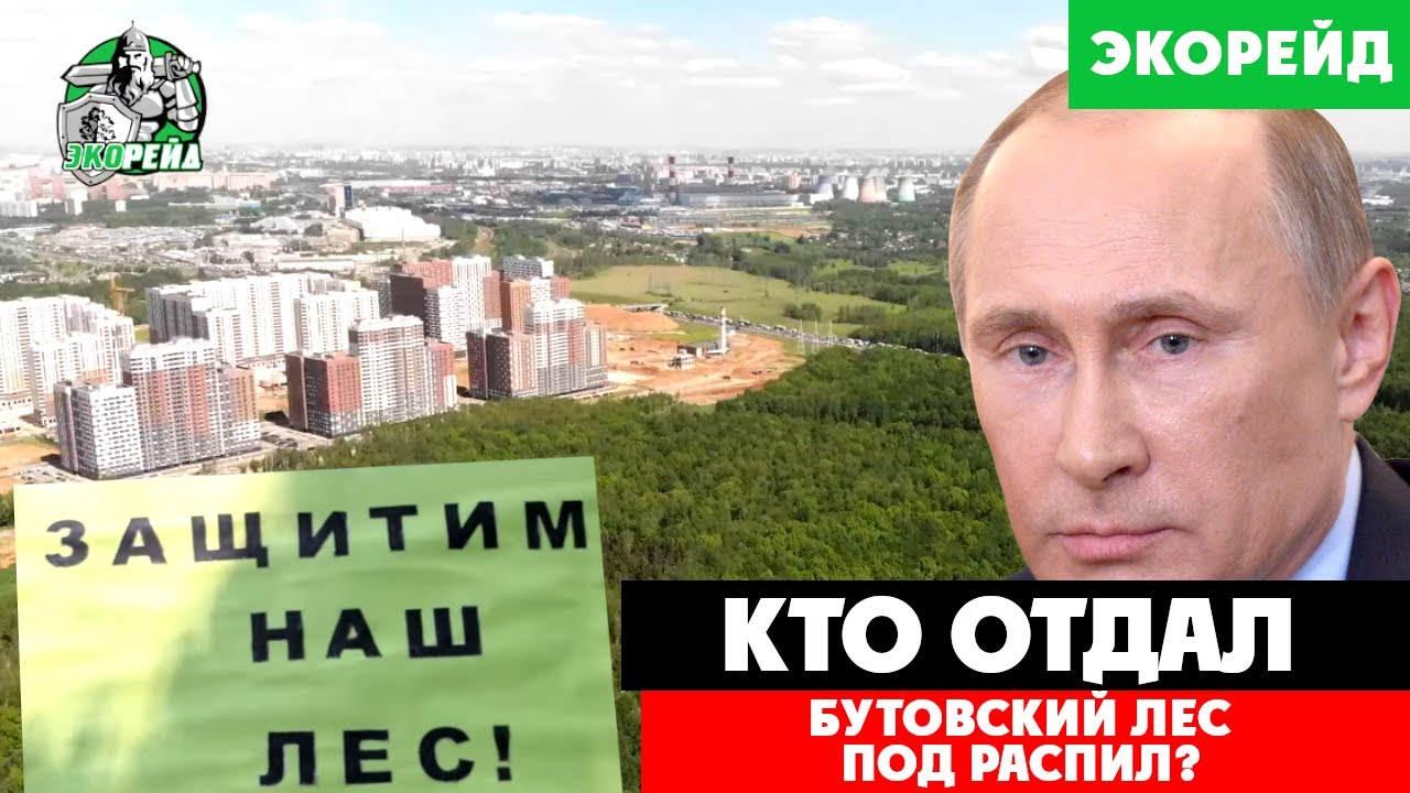 Кто отдал Бутовский лес под распил? Серые схемы оформления земельных участков. На контроле у Путина