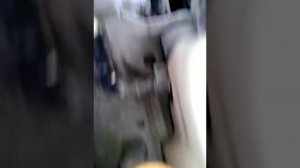 Замена ремней, гура и генератора Ниссан Пульсар