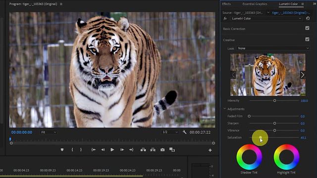 How To Make A Video Black And White In Premiere Pro