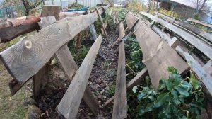 Идеальное укрытие для роз. Часть 1