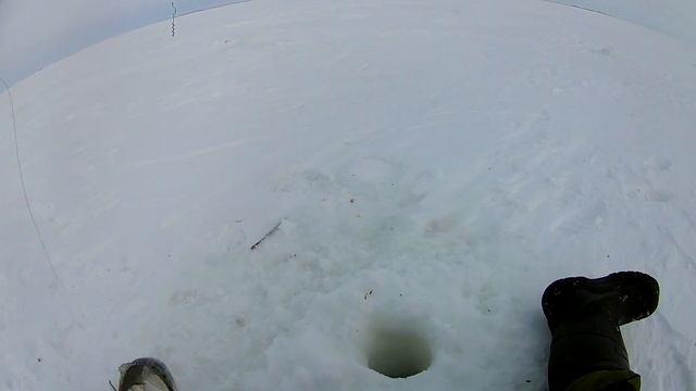 Ловим судака. оз. Чаны 26.02.22 смотреть онлайн