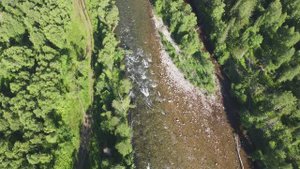 Тайгиш жара