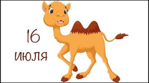 Почему верблюд плюется? | Кристаллики добрых мыслей