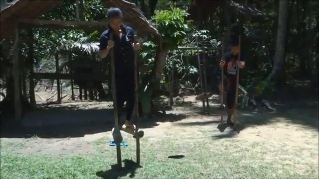 Саговые черви, ходули для болот, рисорушка/рисомолка смотреть онлайн