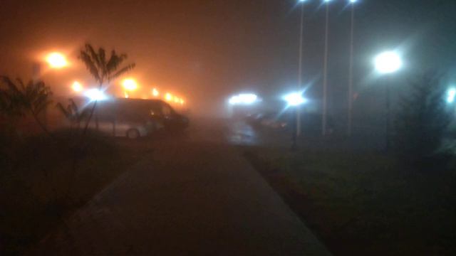 Сильный туман зимой смотреть онлайн