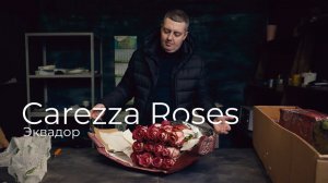 Розы из Эквадора | Плантация Carezza Roses