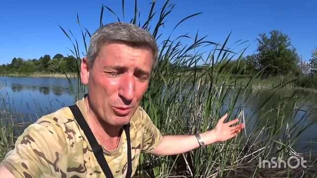 АРОМАТНЫЙ ФЛЭТ-ФИДЕР. ОГРОМНЫЕ КАРАСИ!!! Обращение к МИНЕНКО.#флэтфидер #ловлясазана