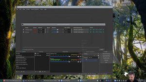 OBS Studio (Linux) Virtual Camera plus Virtual Microphone