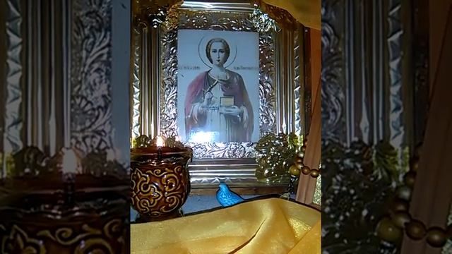 Наузы на беременность смотреть онлайн