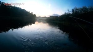 Этот Монстр Размотал Весь Шнур! Сёмга БОЛЬШЕ МЕТРА. Река Нерис Литва