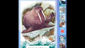 Обучающая игра . Мир зверей для малышей. На севере. Играем вместе. Игрушки и игры с детьми.