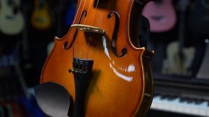 Ученическая скрипка Livingstone L-V100 4/4