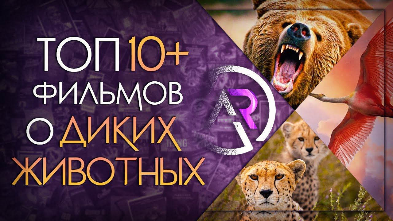 ТОП 10+ ФИЛЬМОВ ПРО ДИКИХ ЖИВОТНЫХ смотреть онлайн