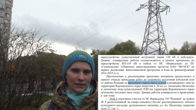 Воронцовский парк и ЛЭП. Что нужно знать и чем можно помочь