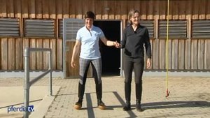 Упражнения на баланс в конном спорте
