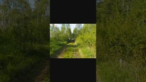 мой ЗиД Лифан 125-5 воспоминания