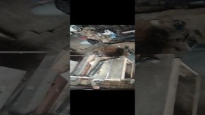 Вводная часть.mp4