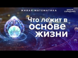 Что лежит в основе жизни #ЖиваяМатематика #Гарат #школаСорадение