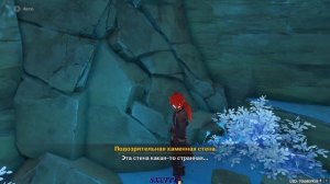 Исследуйте кустарник на каменной стене | Genshin impact | 60 Примогемов