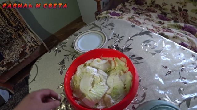 КУДА ПРОПАЛА СВЕТА / Деревенский быт / #деревня  @деревенская жизнь #бытнахуторе #влог #казахстан