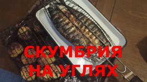 СКУМБРИЯ НА МАНГАЛЕ ПРОСТЕЙШИЙ РЕЦЕПТ  #02.mp4