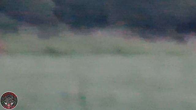 ОХОТА НА КАБАНА! БЫЛИ НА САФАРИ. ПРИШЛИ ВСЕ! смотреть онлайн