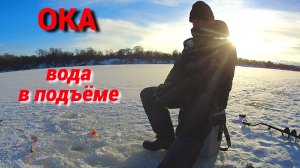 ЗАЧЕМ ПОЛЕЗ НА ЛЁД?  САМОКЛЁВ - ХИТРАЯ СНАСТЬ. Рыбалка на ОКЕ  по высокой воде.