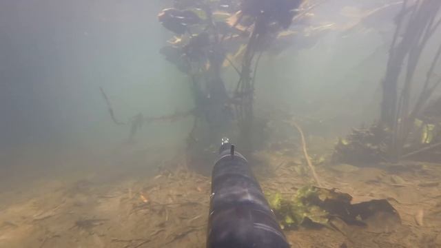 Река Проня, подводная охота смотреть онлайн