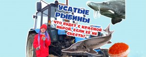 УСАТЫЕ РЫБЫ
Шоу «ПОЕХАЛИ, ПОЗЫРИМ?»