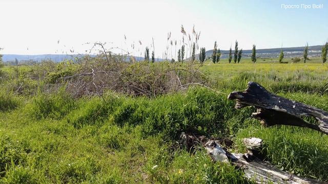 Велопоездка в поля... (Видео 4К)