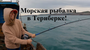 Морская РЫБАЛКА в ТЕРИБЕРКЕ | Треска, пикша, мерланг | Левиафан , Море, северный мир наизнанку Ч1