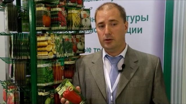 Описание и характеристика сорта. Новинка: один из лучших - перец Калипсо смотреть онлайн