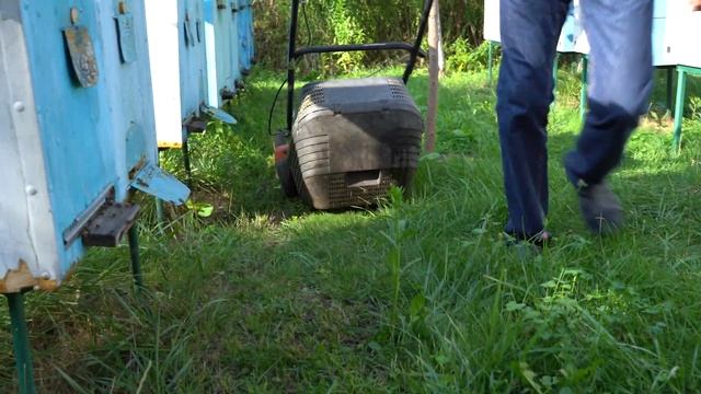 Косим траву газонокосилкой возле ульев с пчелами | Экстремальное пчеловодство смотреть онлайн