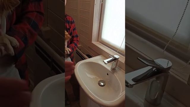 Babyblog "Тест-драйв смесителей Cersanit": отзыв Жуковой Дарьи смотреть онлайн