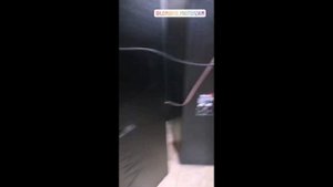 Проверка работоспособности колонок biema