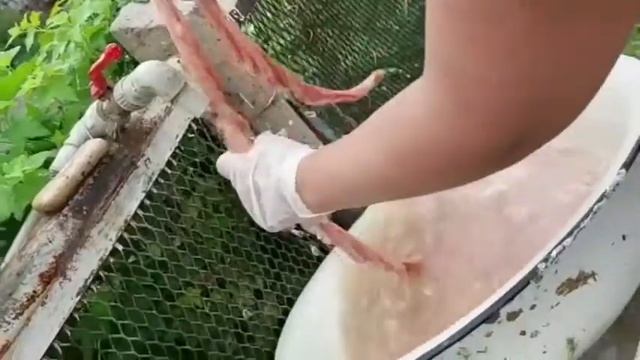 Сиырдың ішегін айналдыру құпиясы. Лайфхак. смотреть онлайн