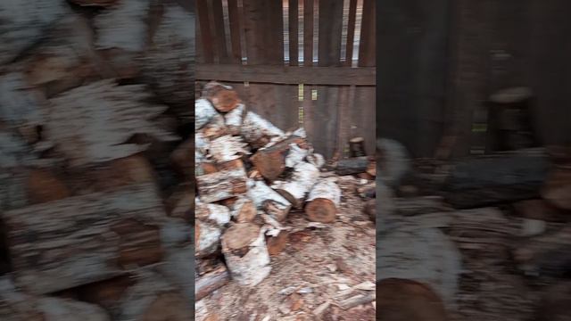 ВОТ СКОЛЬКО СКОЛОЛ УЖЕ, ПЯТНИЦА, | ⟨14.10.2022⟩ | 17:07