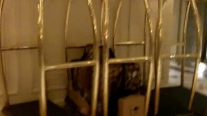 Обзор отеля Legendale | Отель вечером