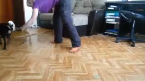 Как играть со щенком #2