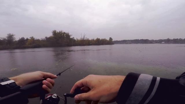 Где искать осеннего ОКУНЯ. Ловля окуня на Днепре в черте Киева. Рыбалка на спиннинг Blue Bird 2020. смотреть онлайн