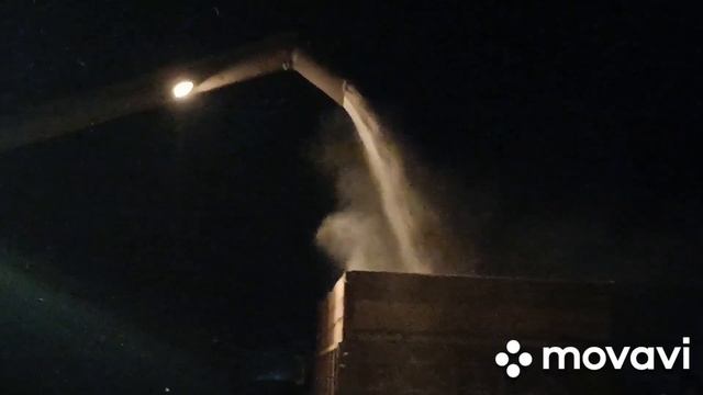 Зимняя уборка подсолнечника на КЗС-10 и КЗС-1218 Палессе