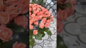ЛЮБА С ДНЁМ РОЖДЕНИЯ!!!??????????ЛЮБА С ДНЁМ РОЖДЕНИЯ!!!?????????