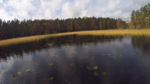 Для меня ШОК - Насадил УТЁНКА и Щуки Озверели. Ловля на лучшую незацепляйку.