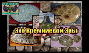 Эхо кремниевой эры. (Л.Д.О. 217 часть.) Вячеслав Котляров.