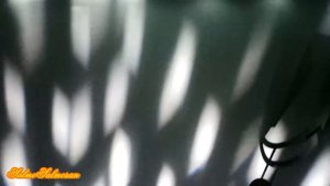 Зеркальный шар или диско-шар в лучах Mini LED Beam Spot 30W